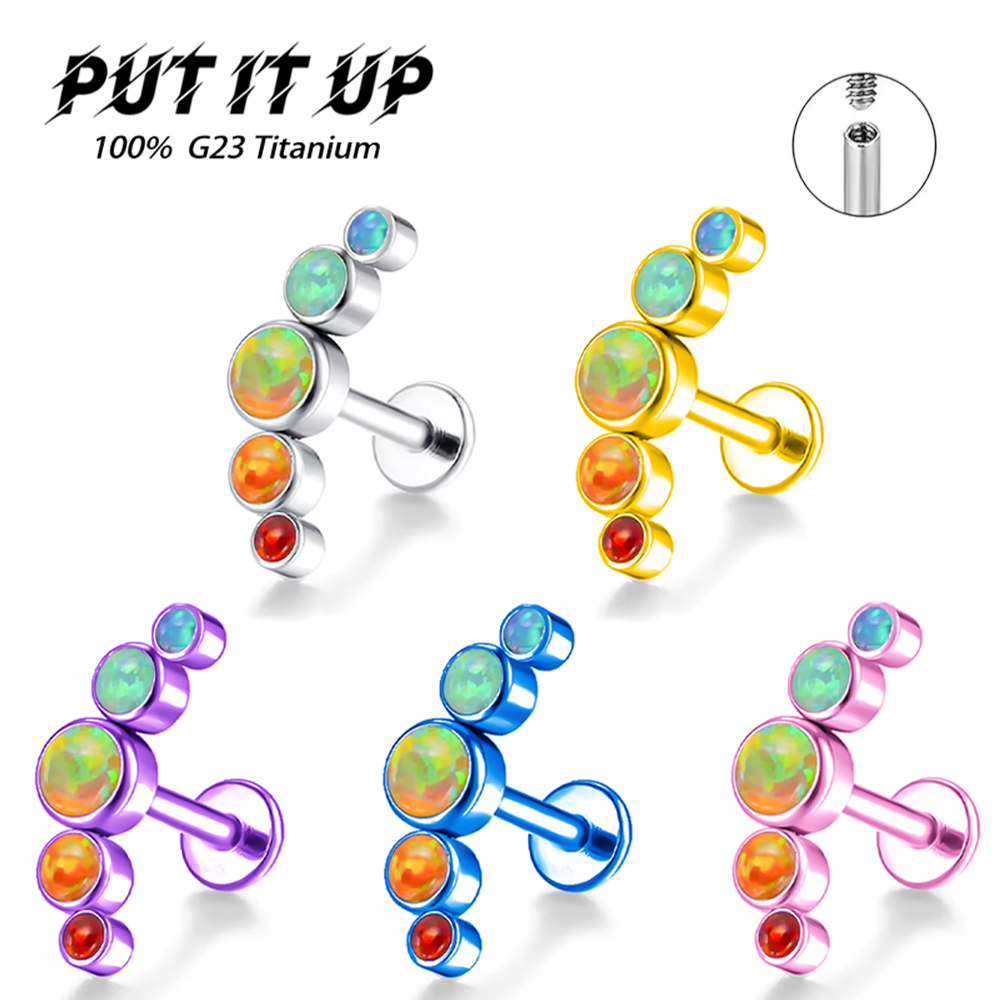 Body Piercing Quality Jewelry - PUTITUP Official F136 Titanium Alloy High-Quality