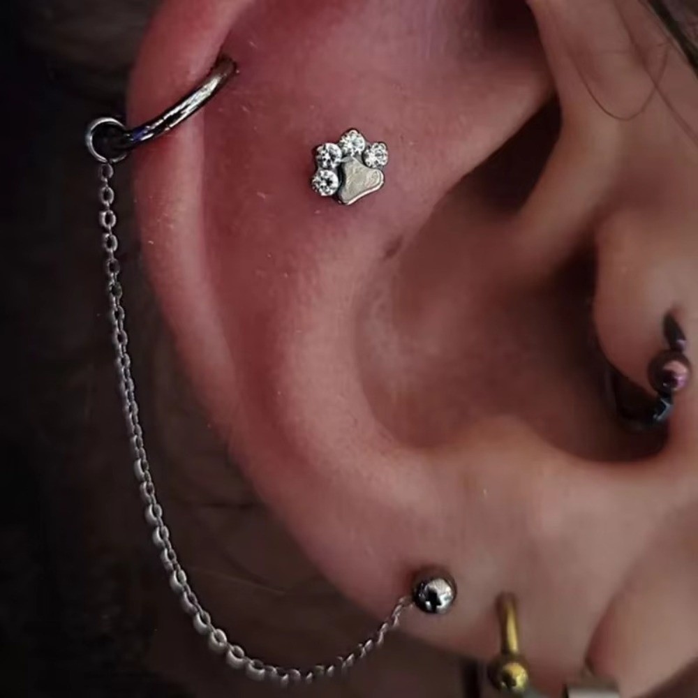 Titanium Nose Chain Three Laye - Body Jewelry Piercing recensione e prezzo