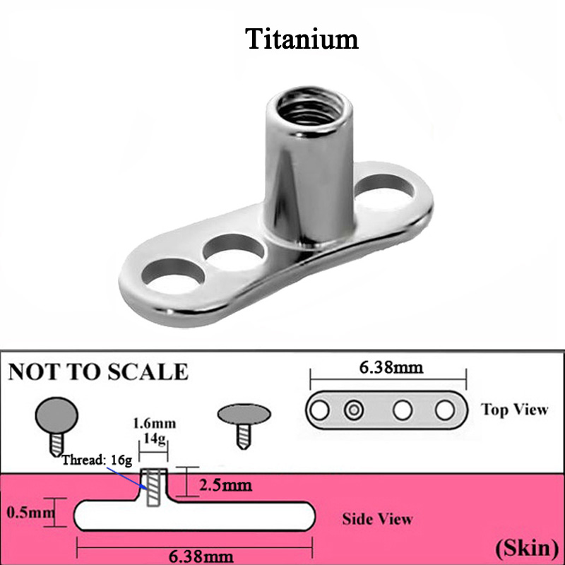 1Peice G23 Titanium Dermal Anc - Body Jewelry Dermal recensione e prezzo