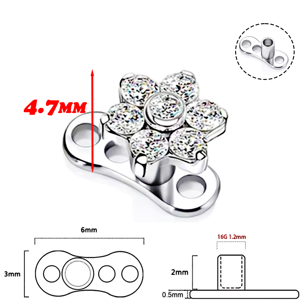 F136 Titanium Alloy High-Quali - Body Piercing Quality Jewelry recensione e prezzo